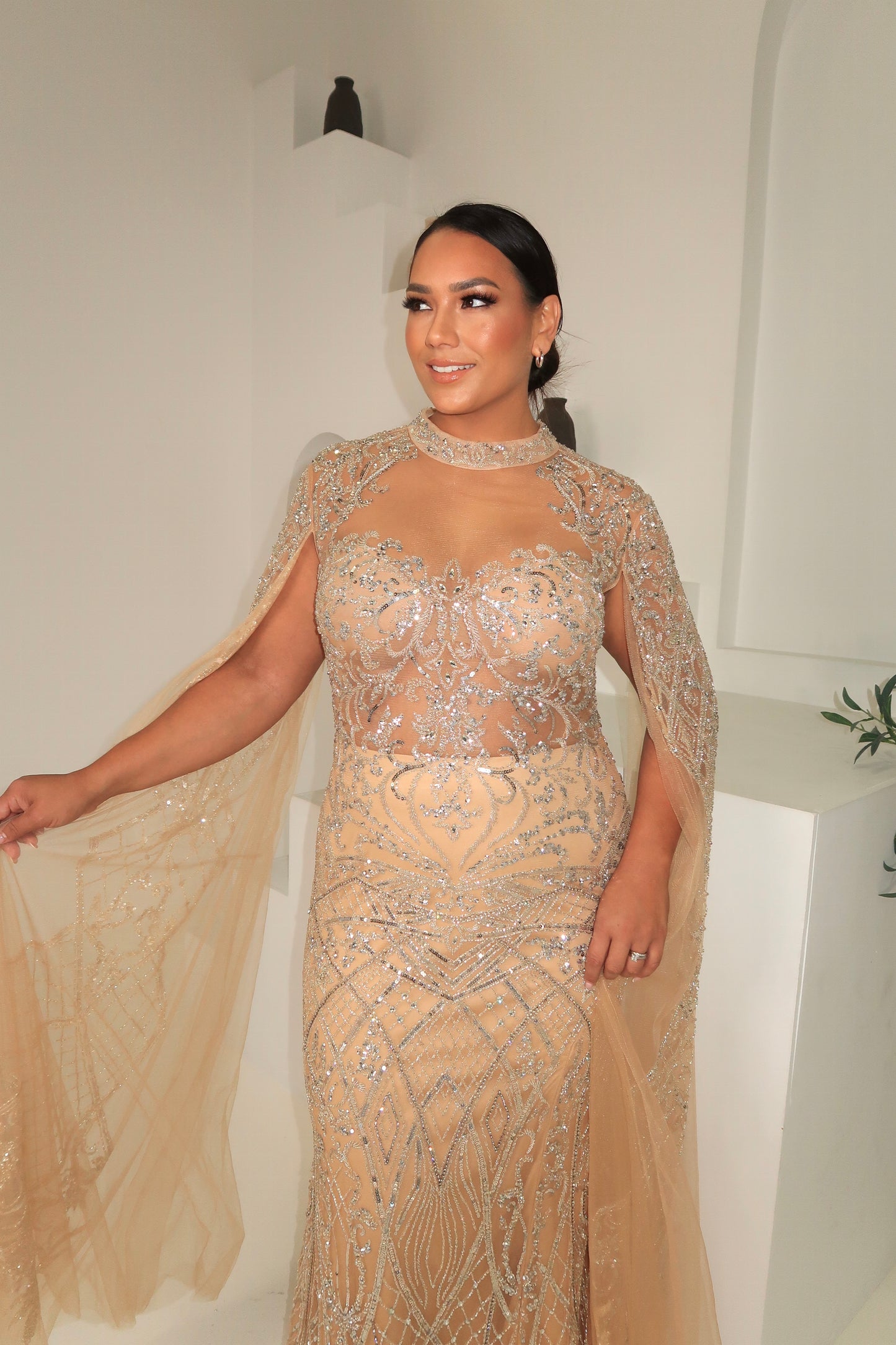 Nude & Silver Embellished Cape Gown