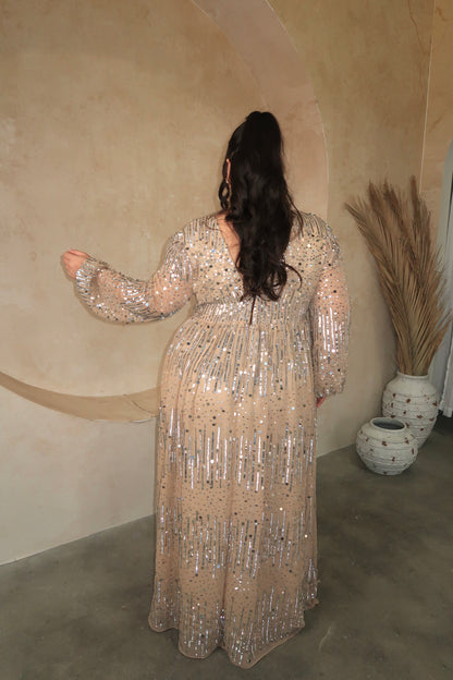 Nude & Silver Sequin V-Neck Maxi